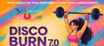 DiscoBurn7.0
